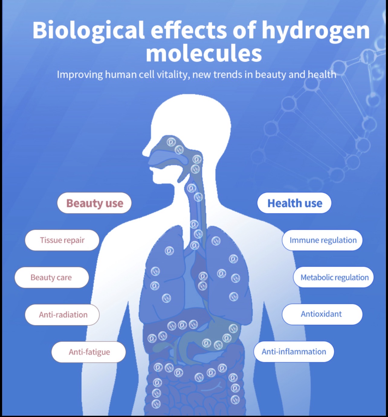 Hydrogen Machine 1500ml  —  Facility Size GY-HX1500